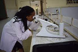 School of Health and Biomedical Sciences